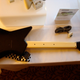 Image for article titled Nyko Gaming Goodness: Guitar Hero / Rock Band Guitar, Wireless Nunchuck, PS3 Rumble and More